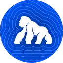ApeChain